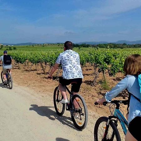Tina De Vila, En La Capital Del Vino Vilafranca del Penedès Exterior foto