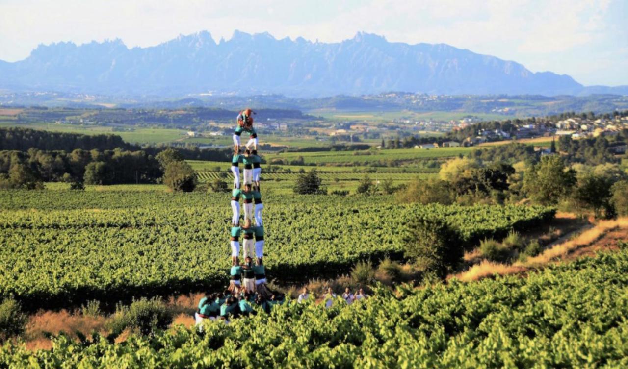 Tina De Vila, En La Capital Del Vino Vilafranca del Penedès Exterior foto